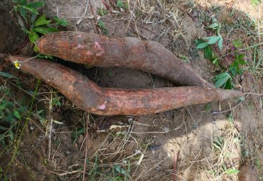 Why farmers love Poundable cassava